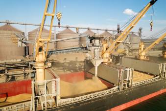 Հացահատիկային գործարքի դադարեցումը եւ մենք