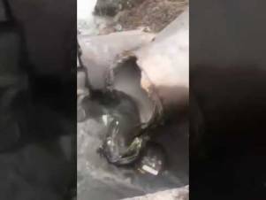 Քաղաքի կոյուղաջրերը տանս տակն են, գյուղացիների ոռոգման ջուրն է․ ահազանգում է քաղաքացին