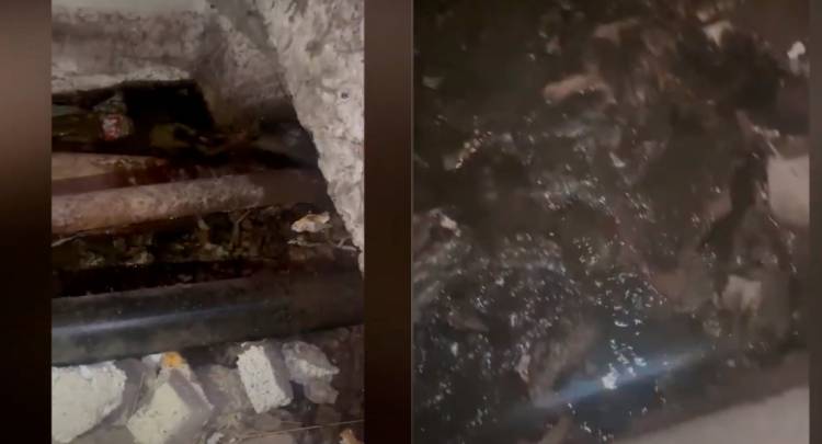 Կոյուղաջրերը լցվում են նկուղ (տեսանյութ)