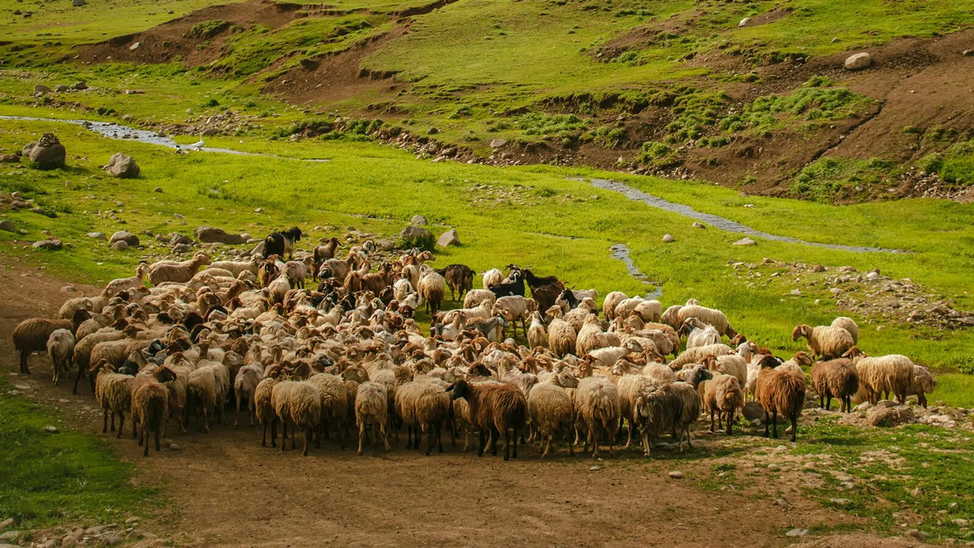Մենք