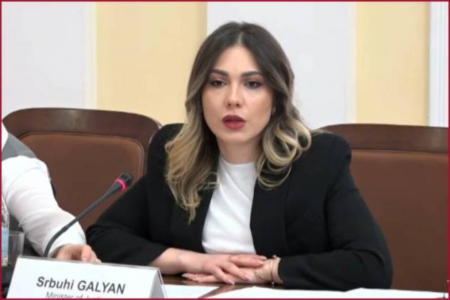 Ցմահները մեկ ամիս ժամանակ են տվել Սրբուհի Գալյանին