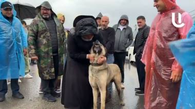 Բագրատ Սրբազանի շները մնացել են փակի տակ