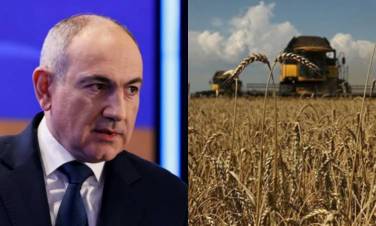 Փաշինյանը հրաժարվում է III կարգի եւ վարակված ցորենի պատասխանատվությունի՞ց