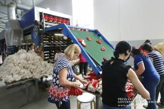 «Հրապարակ»․ Փաշինյանի այցելած ձեռնոցի գործարանը մարտից չի աշխատում