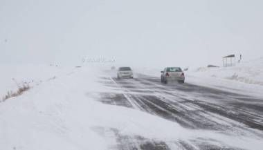 Որ տարածաշրջաններում է բուք