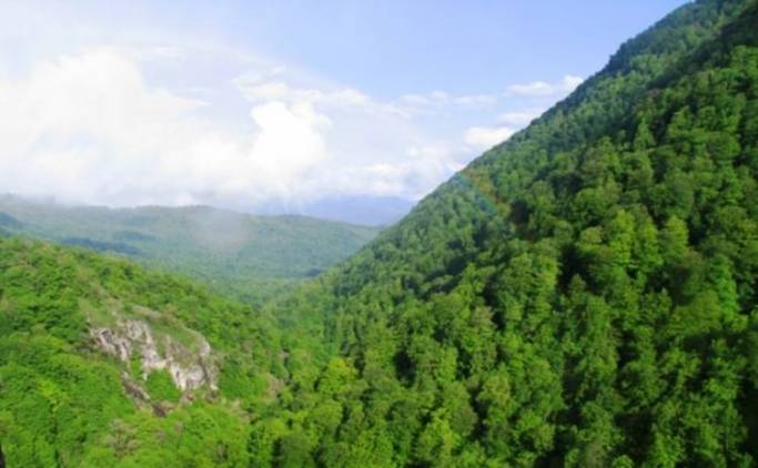 «Հրազդանի անտառտնտեսություն» մասնաճյուղի աշխատակիցներին ազատում են աշխատանքից