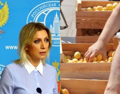 ՌԴ-ում ծիրանի ներկրման արգելքի մասին լուրը ճիշտ չէ․ Երևանում արձագանքել են