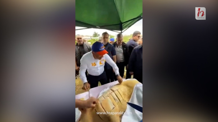 Նիկոլ Փաշինյանը ցուցադրեց «խոզի կաշի ճղելու» իր հմտությունները