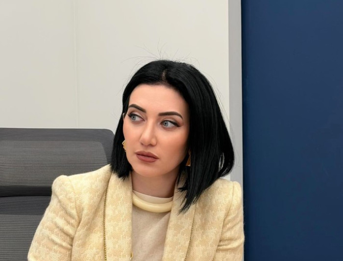Արփինե Հովհաննիսյանը դիմել է ընդդիմությանը