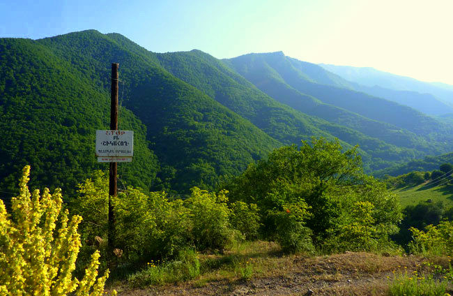 «Հրապարակ»․ Վերջին 1 տարում Շիկահողում հատումները պարբերական են եւ չեն դադարել