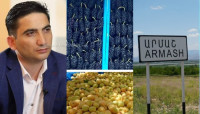 Առաջարկում եմ օգնել արմաշցի ընդդիմադիրներին, մյուսները թող գնան Նիկոլի հետևից