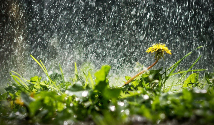 Ի՞նչ եղանակ է սպասվում եկող շաբաթ