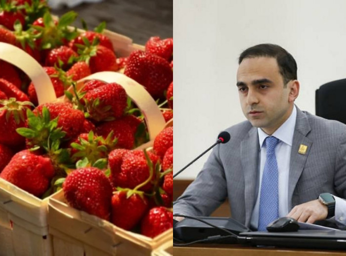 «Հրապարակ»․ Ելակն արտահանում են թուրքականի անվան տակ