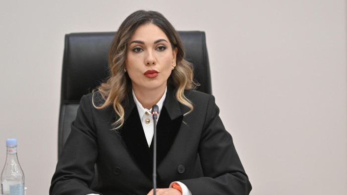 «Կզզցնելն ու շինելը»՝ բարձր պաշտպանության ներքո՞․ բաց նամակ նախարարին՝ մի՛ աղավաղեք ՄԻԵԴ «ոսկե կանոնը»