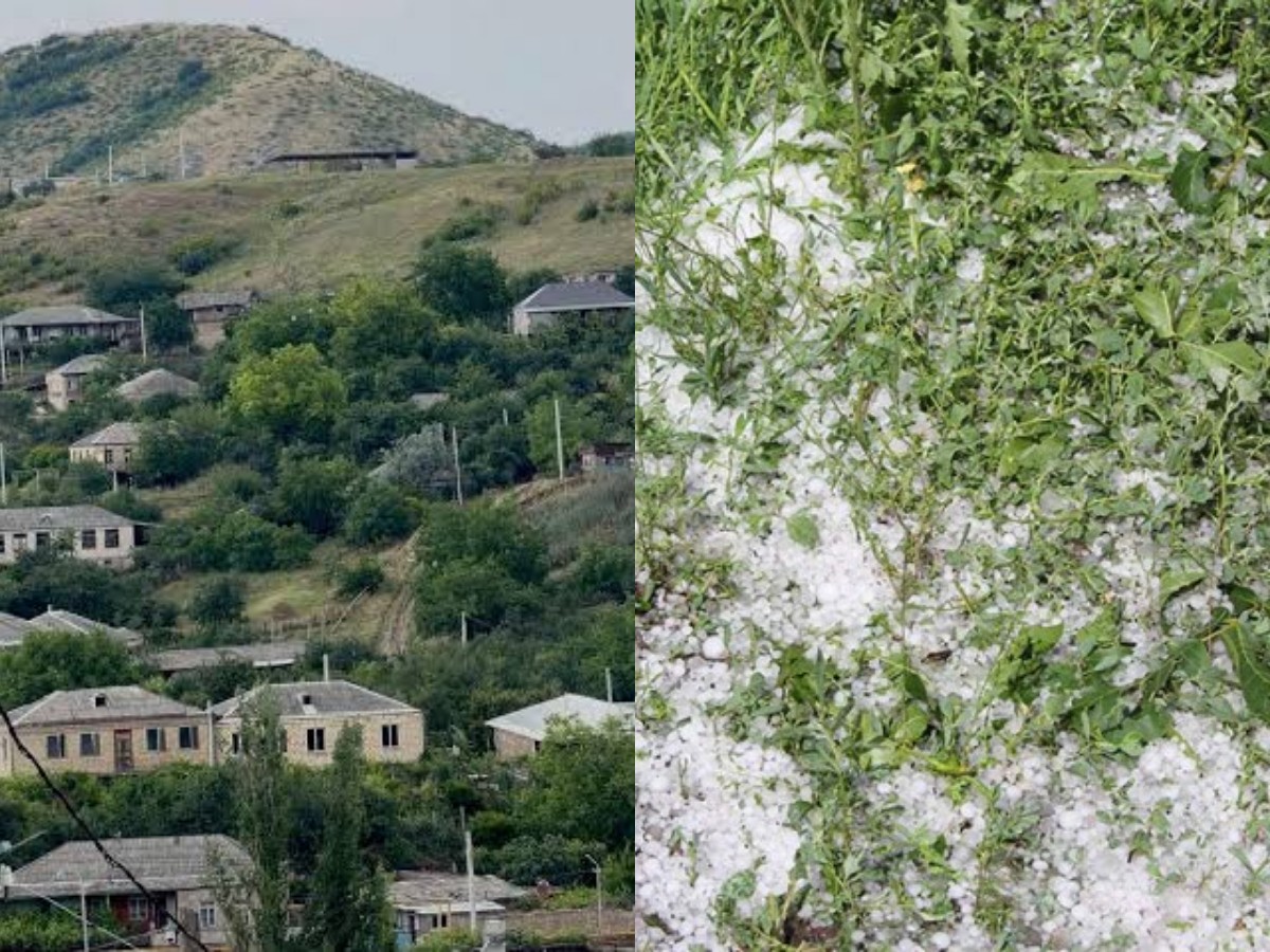 Կարկտահարությունից 12 օր է անցել, վնասները դեռ ճշտում են