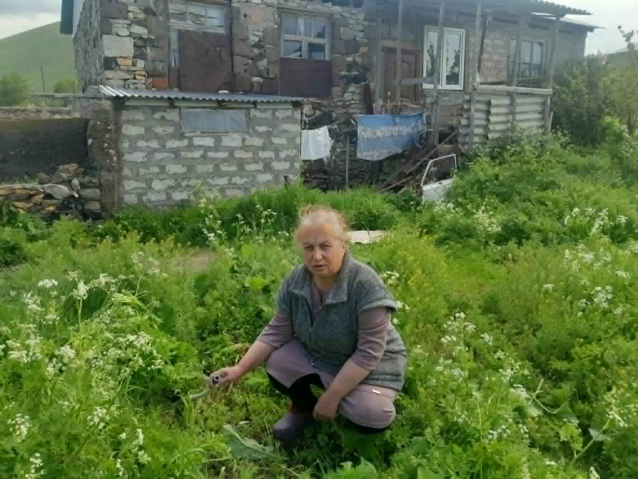 Խեղճ Նինա, տեսնես, էդքան կապրի՞