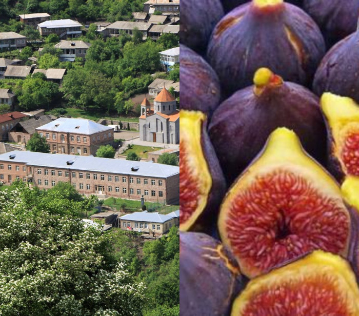 2025-ին 3 հազար տոննա արտահանել են, այս տարի դեռ պարզ չի